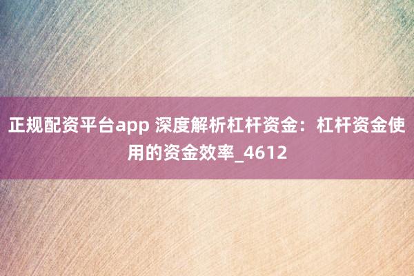 正规配资平台app 深度解析杠杆资金：杠杆资金使用的资金效率_4612