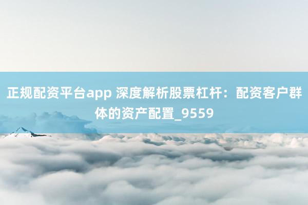 正规配资平台app 深度解析股票杠杆：配资客户群体的资产配置_9559