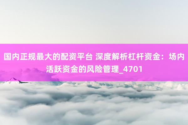 国内正规最大的配资平台 深度解析杠杆资金：场内活跃资金的风险管理_4701