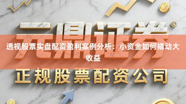 透视股票实盘配资盈利案例分析：小资金如何撬动大收益