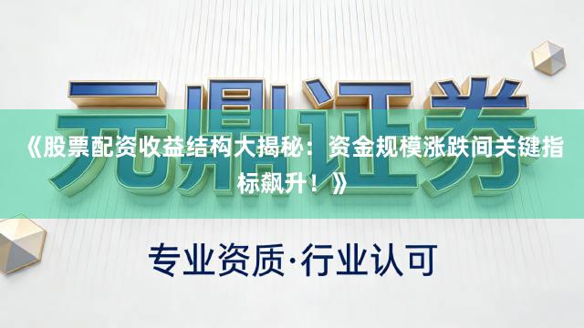 《股票配资收益结构大揭秘：资金规模涨跌间关键指标飙升！》