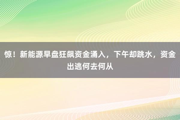 惊！新能源早盘狂飙资金涌入，下午却跳水，资金出逃何去何从