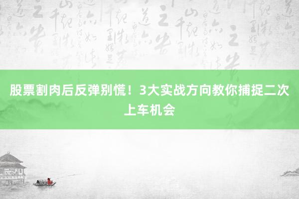 股票割肉后反弹别慌！3大实战方向教你捕捉二次上车机会