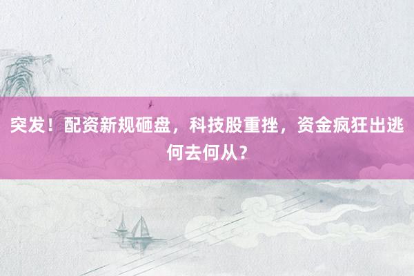突发！配资新规砸盘，科技股重挫，资金疯狂出逃何去何从？