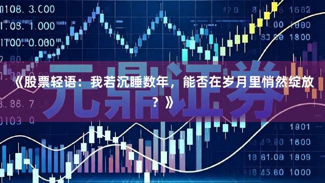 《股票轻语：我若沉睡数年，能否在岁月里悄然绽放？》