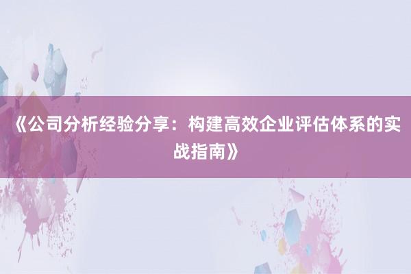 《公司分析经验分享：构建高效企业评估体系的实战指南》