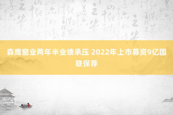 森鹰窗业两年半业绩承压 2022年上市募资9亿国联保荐