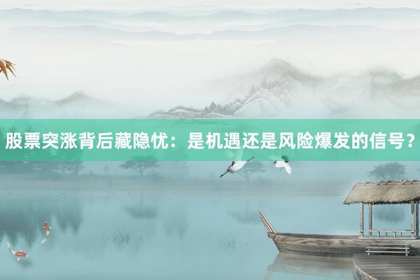 股票突涨背后藏隐忧:是机遇还是风险爆发的信号?
