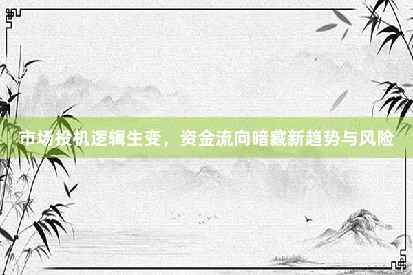市场投机逻辑生变，资金流向暗藏新趋势与风险