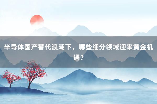 半导体国产替代浪潮下，哪些细分领域迎来黄金机遇？