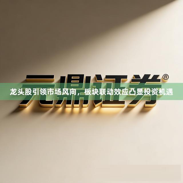 龙头股引领市场风向，板块联动效应凸显投资机遇