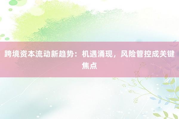 跨境资本流动新趋势:机遇涌现,风险管控成关键焦点