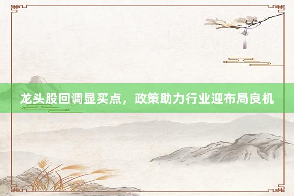 龙头股回调显买点，政策助力行业迎布局良机