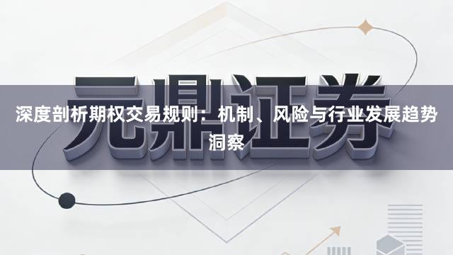 深度剖析期权交易规则：机制、风险与行业发展趋势洞察