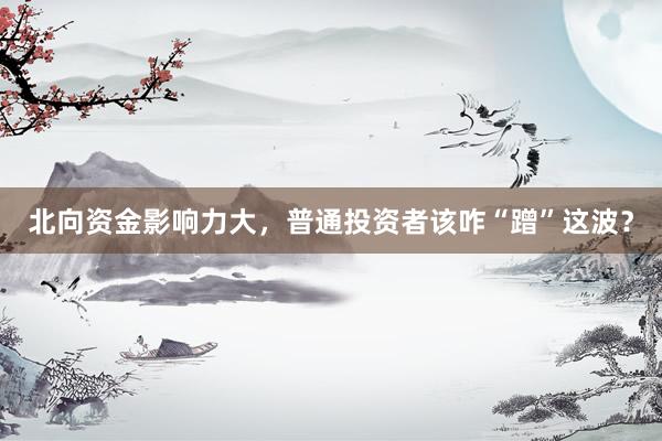 北向资金影响力大，普通投资者该咋“蹭”这波？
