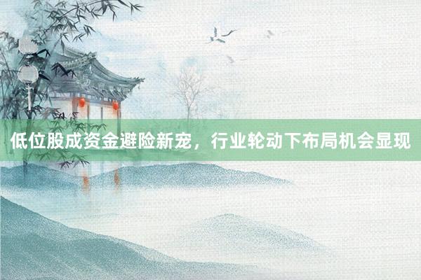 低位股成资金避险新宠，行业轮动下布局机会显现